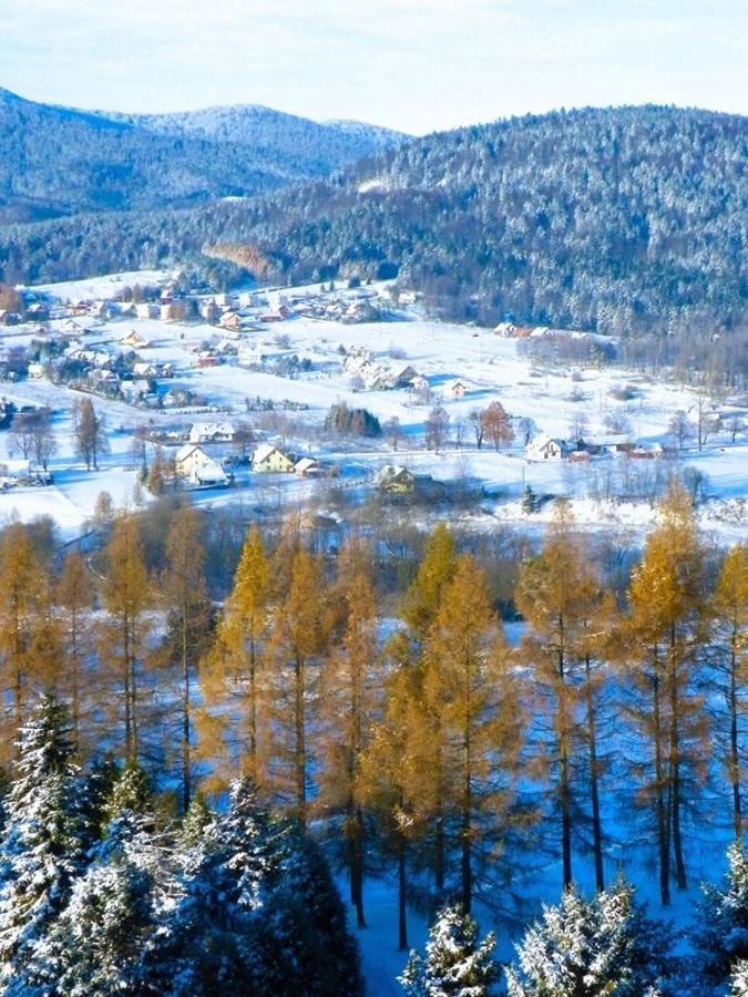 Osrodek Uzdrowiskowy Beskid Hotell Wysowa-Zdrój Eksteriør bilde